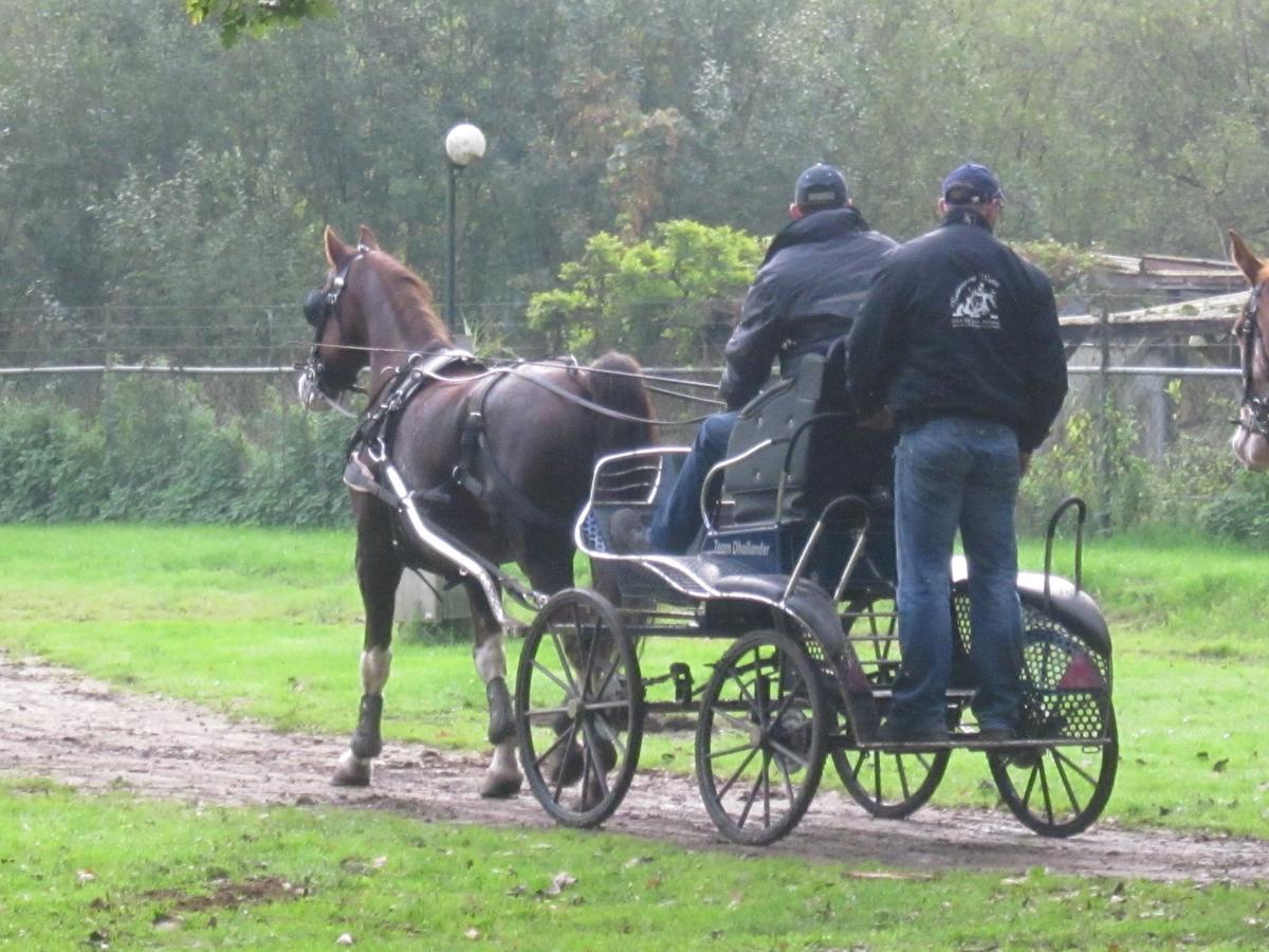 Hotel De Watermolen Bocholt Kültér fotó